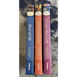 Secrets of Wayfarers Inn Lot Of 3 Hardcover Mysteries from Guideposts Books